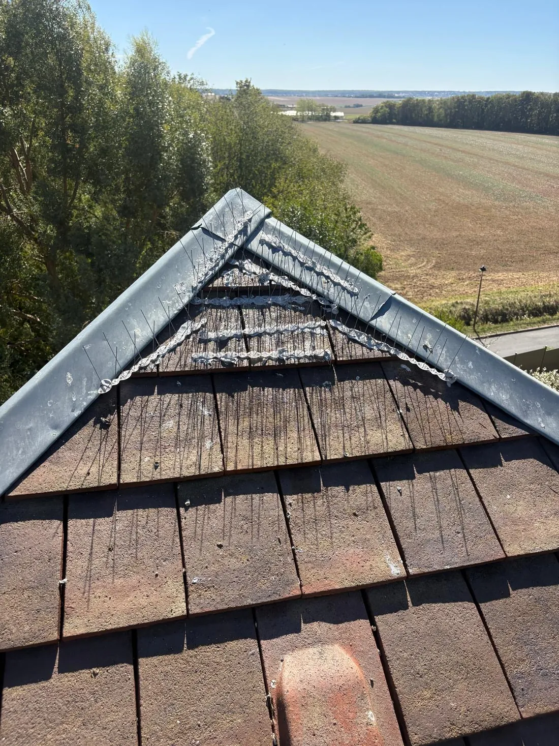 Faîtage et arêtier zinc équipés de pics anti-pigeons collés